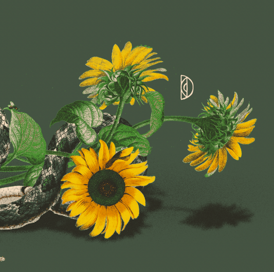 DWELLER. SUNFLOWER SHIRT